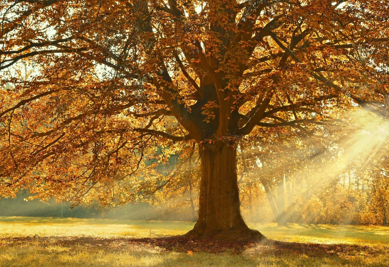 Effective Strategies to Lesson Joint Pain During Cooler Weather