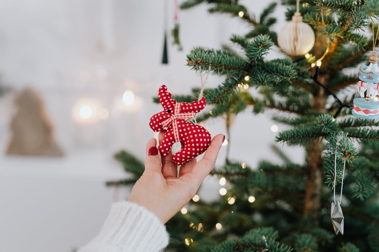 Pacing at Christmas